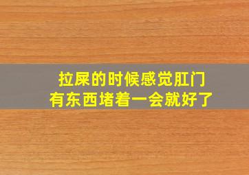 拉屎的时候感觉肛门有东西堵着一会就好了