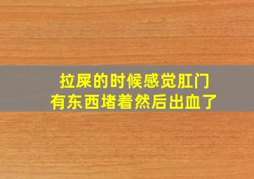 拉屎的时候感觉肛门有东西堵着然后出血了