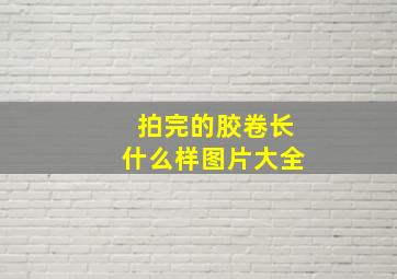 拍完的胶卷长什么样图片大全