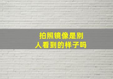 拍照镜像是别人看到的样子吗