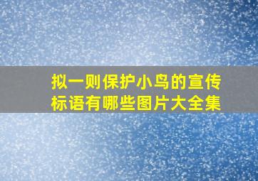 拟一则保护小鸟的宣传标语有哪些图片大全集