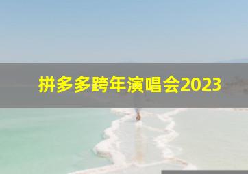 拼多多跨年演唱会2023