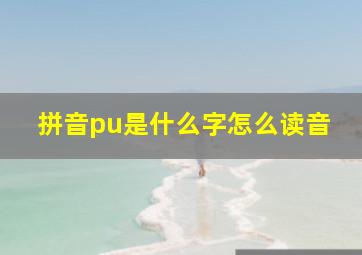 拼音pu是什么字怎么读音