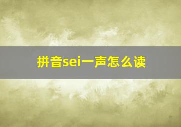 拼音sei一声怎么读