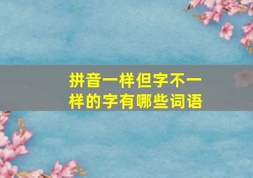 拼音一样但字不一样的字有哪些词语