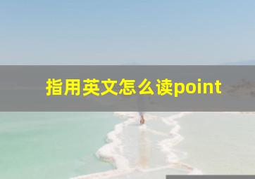 指用英文怎么读point