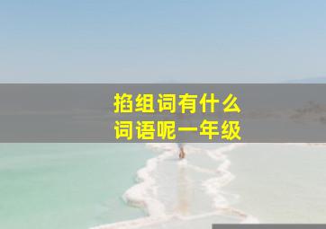 掐组词有什么词语呢一年级