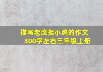 描写老鹰捉小鸡的作文300字左右三年级上册