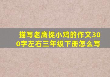 描写老鹰捉小鸡的作文300字左右三年级下册怎么写