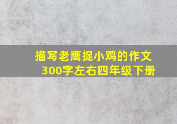 描写老鹰捉小鸡的作文300字左右四年级下册