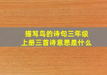 描写鸟的诗句三年级上册三首诗意思是什么