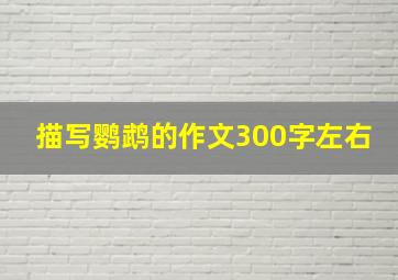 描写鹦鹉的作文300字左右