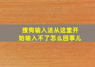 搜狗输入法从这里开始输入不了怎么回事儿