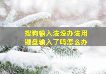 搜狗输入法没办法用键盘输入了吗怎么办