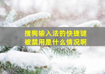 搜狗输入法的快捷键被禁用是什么情况啊