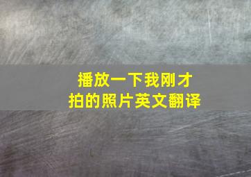 播放一下我刚才拍的照片英文翻译