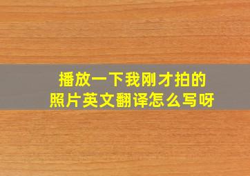 播放一下我刚才拍的照片英文翻译怎么写呀