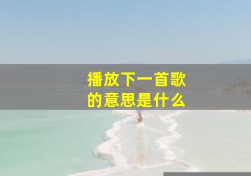 播放下一首歌的意思是什么