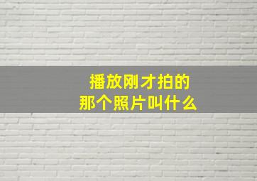 播放刚才拍的那个照片叫什么