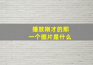 播放刚才的那一个图片是什么