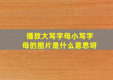 播放大写字母小写字母的图片是什么意思呀