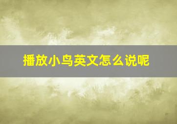 播放小鸟英文怎么说呢