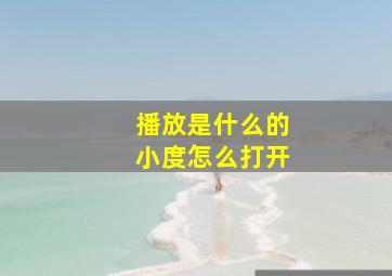 播放是什么的小度怎么打开