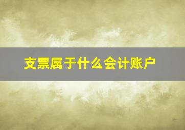 支票属于什么会计账户