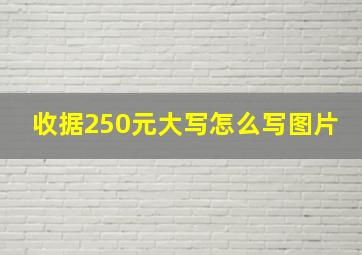 收据250元大写怎么写图片