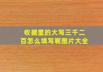 收据里的大写三千二百怎么填写呢图片大全