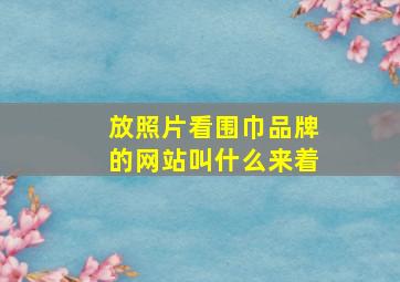 放照片看围巾品牌的网站叫什么来着