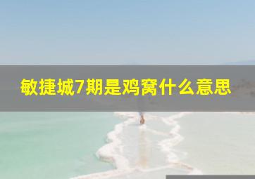 敏捷城7期是鸡窝什么意思