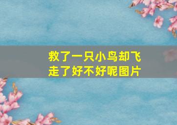 救了一只小鸟却飞走了好不好呢图片