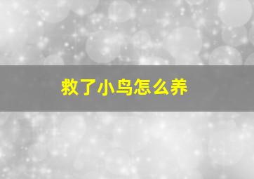 救了小鸟怎么养