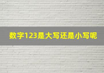 数字123是大写还是小写呢