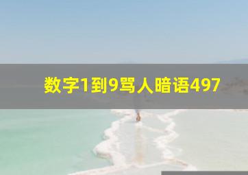 数字1到9骂人暗语497