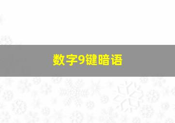 数字9键暗语