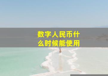 数字人民币什么时候能使用