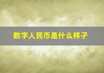 数字人民币是什么样孑