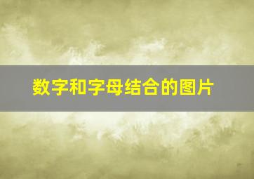 数字和字母结合的图片