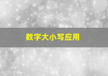 数字大小写应用