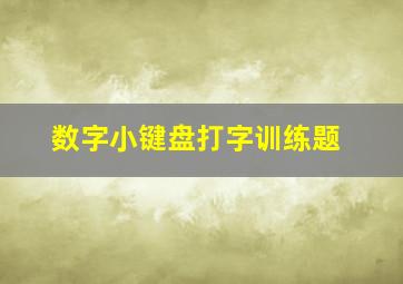 数字小键盘打字训练题