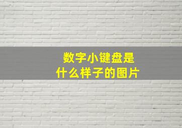 数字小键盘是什么样子的图片