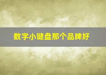 数字小键盘那个品牌好