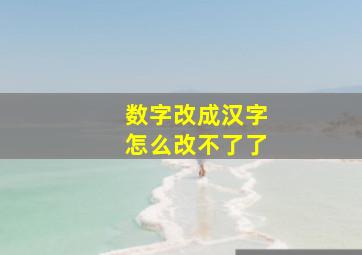 数字改成汉字怎么改不了了