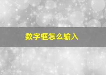 数字框怎么输入