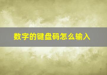 数字的键盘码怎么输入