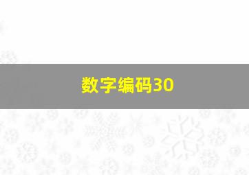 数字编码30