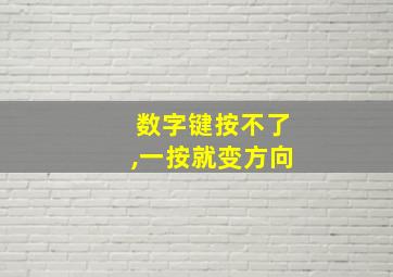 数字键按不了,一按就变方向