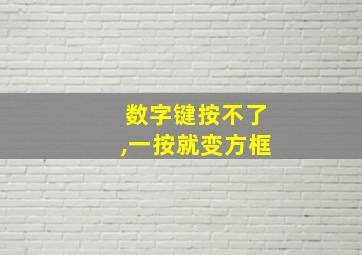 数字键按不了,一按就变方框